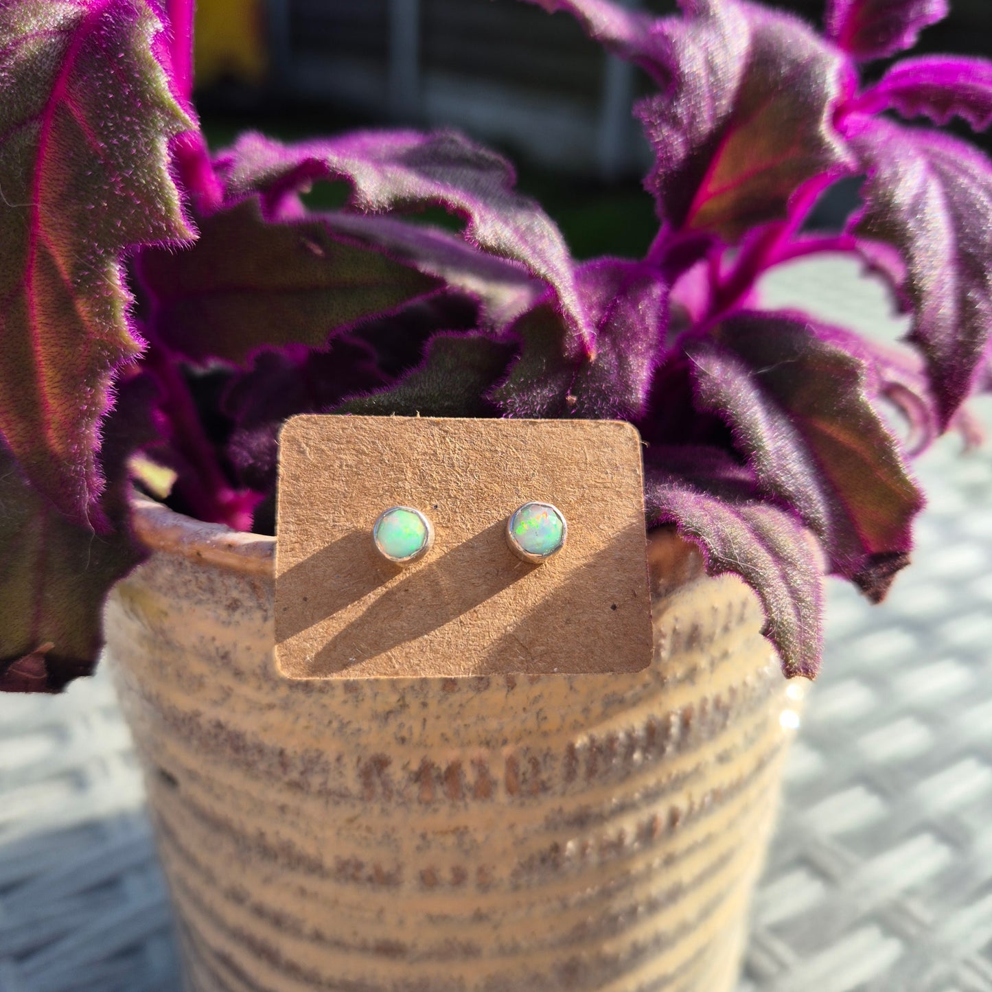 Ethiopian opal studs