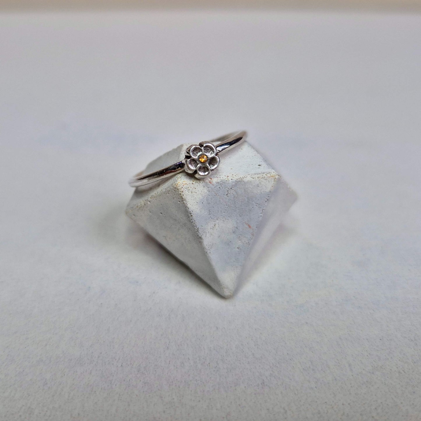 Dainty forget-me-not
